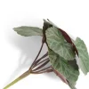 COCOmaison Kunstbloemen En -Planten>Saxifrage Mini Bush H13cm kunstbloem - Groen