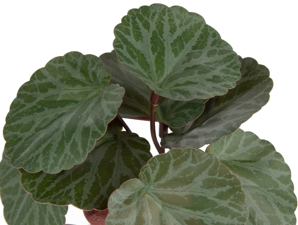 COCOmaison Kunstbloemen En -Planten>Saxifrage Mini Bush H13cm kunstbloem - Groen