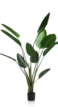 COCOmaison Kunstbloemen En -Planten>Strelitzia Nicolai H150cm - Groen