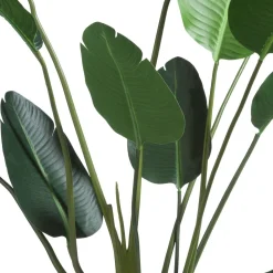 COCOmaison Kunstbloemen En -Planten>Strelitzia Nicolai H150cm - Groen