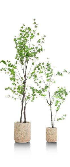 COCOmaison Kunstbloemen En -Planten>Tropaeolum kunstplant H210cm - Groen