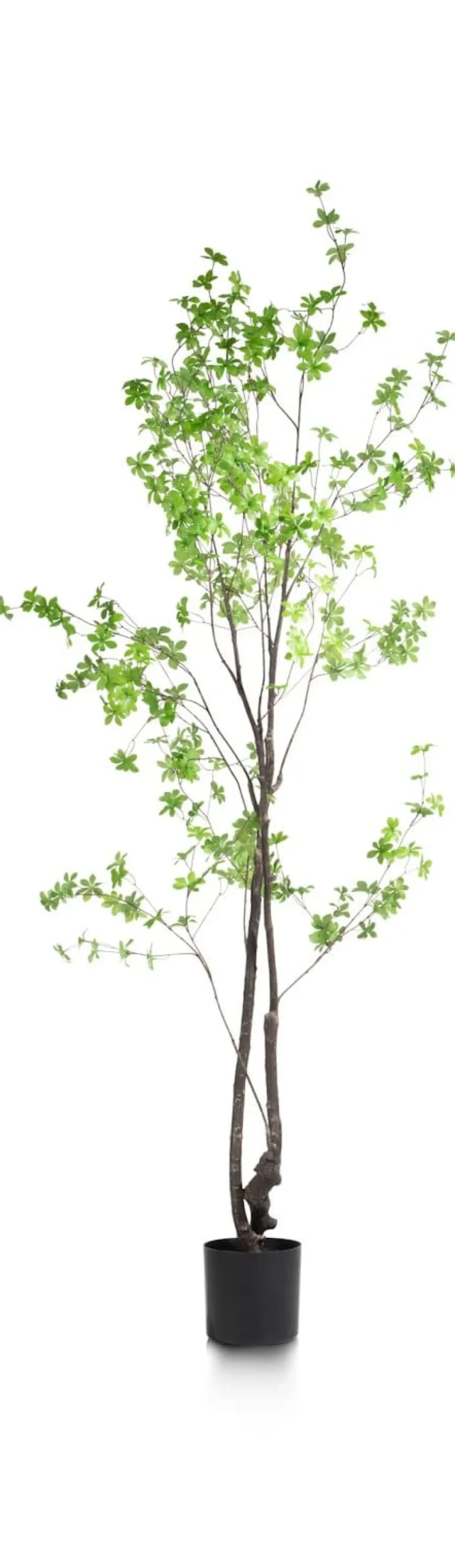COCOmaison Kunstbloemen En -Planten>Tropaeolum kunstplant H210cm - Groen