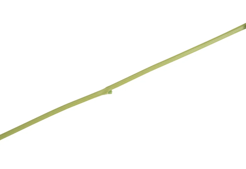 COCOmaison Kunstbloemen En -Planten>Tropaeolum Spray H88cm kunstbloem - Groen